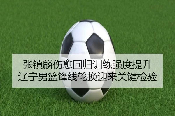 张镇麟伤愈回归训练强度提升 辽宁男篮锋线轮换迎来关键检验